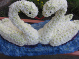 �����